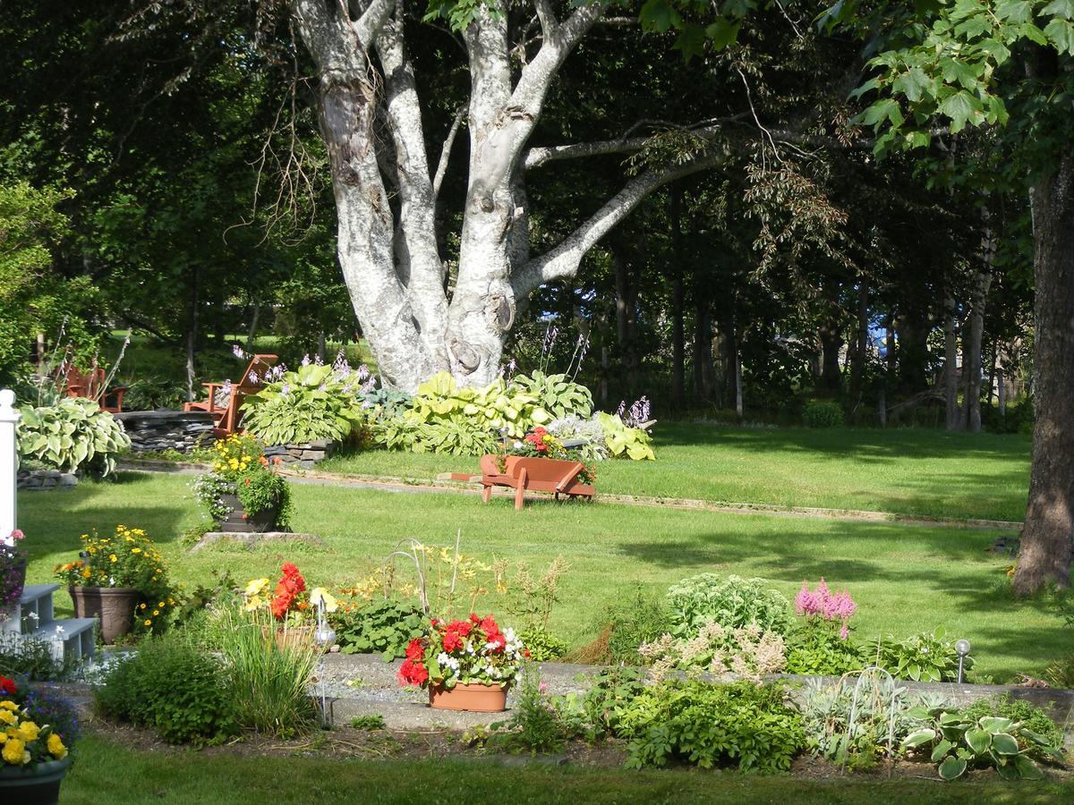 Rothesay House Heritage Inn B&B Harbour Grace Exterior photo